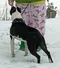carousel chooser